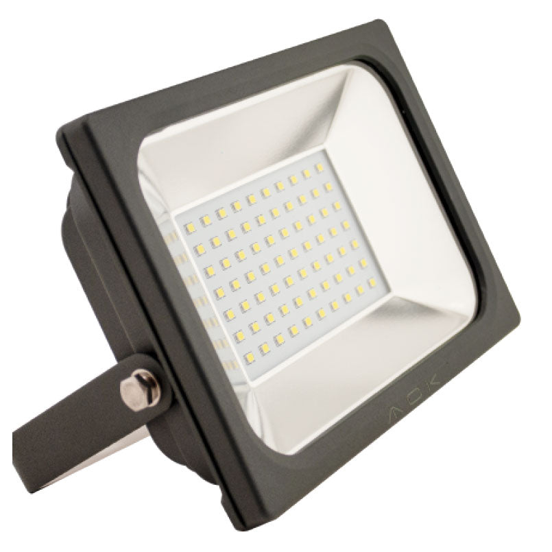 Projector 50W