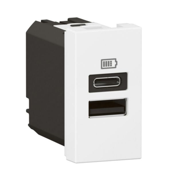 Arteor™ - 1 module USB two ports A+C - 3A- 15W - White