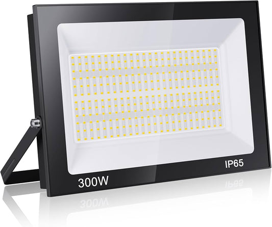 Projector 300W