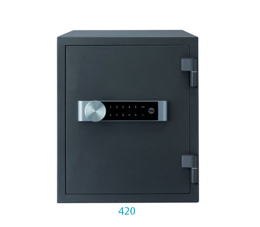 Fireproof Safe Medium