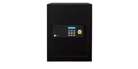 Electronic Safe with Display
