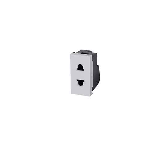 Socket (orva)